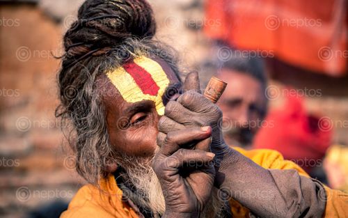 Find  the Image sadhu,man,smoking,mahashibratri,festival,pasupati,kathmandu,nepal  and other Royalty Free Stock Images of Nepal in the Neptos collection.