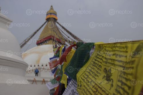 Find  the Image boudhanath,largest,stupa,nepal  and other Royalty Free Stock Images of Nepal in the Neptos collection.