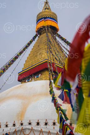 Find  the Image boudhanath,stupa,kathmandu  and other Royalty Free Stock Images of Nepal in the Neptos collection.