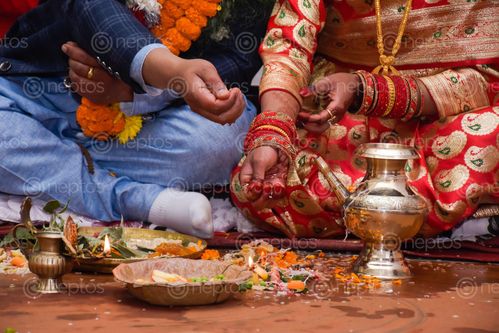 Find  the Image traditional,newari,wedding,ceremony  and other Royalty Free Stock Images of Nepal in the Neptos collection.