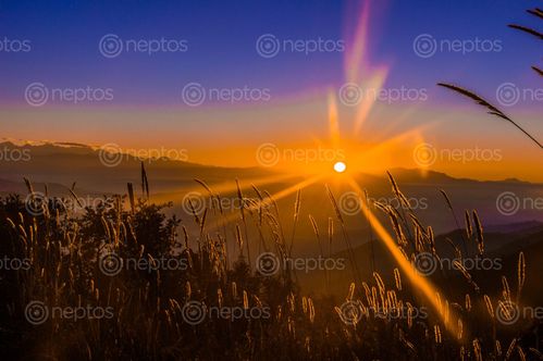 Find  the Image beautiful,sunrise,nature  and other Royalty Free Stock Images of Nepal in the Neptos collection.