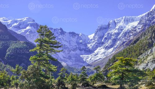 Find  the Image landscape,high,altitude  and other Royalty Free Stock Images of Nepal in the Neptos collection.