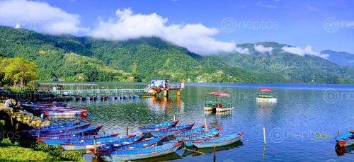 Find  the Image fewa,lake,view,morning,time  and other Royalty Free Stock Images of Nepal in the Neptos collection.