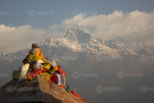 Find  the Image slient,mountain  and other Royalty Free Stock Images of Nepal in the Neptos collection.