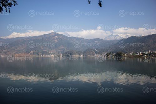 Find  the Image silent,lake  and other Royalty Free Stock Images of Nepal in the Neptos collection.