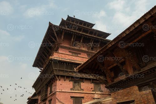 Find  the Image patan,durbar,square,world,heritage,site,clear,day,birds,passing  and other Royalty Free Stock Images of Nepal in the Neptos collection.