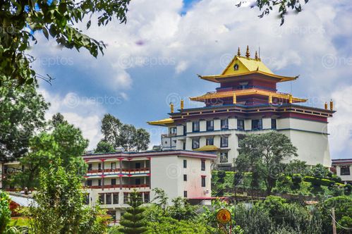 Find  the Image buddha,monastery,yellow,pagoda  and other Royalty Free Stock Images of Nepal in the Neptos collection.