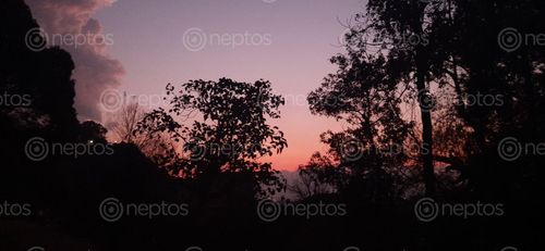 Find  the Image sunset,beauty,colour  and other Royalty Free Stock Images of Nepal in the Neptos collection.