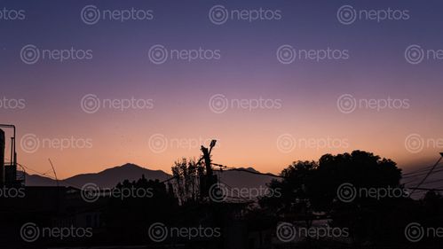 Find  the Image sky,hills,dusk  and other Royalty Free Stock Images of Nepal in the Neptos collection.