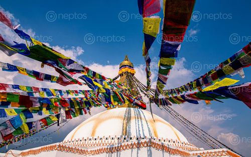 Find  the Image beautiful,view,prayer,flag,baudha,stupa,kathmanu,nepal  and other Royalty Free Stock Images of Nepal in the Neptos collection.