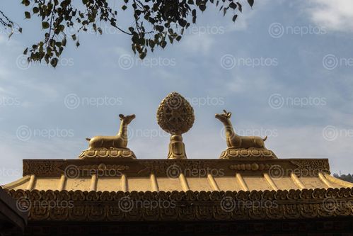 Find  the Image gajur,deer,top,entrance,gate,buddha,park,swayambhunath,kathmandu,nepal  and other Royalty Free Stock Images of Nepal in the Neptos collection.