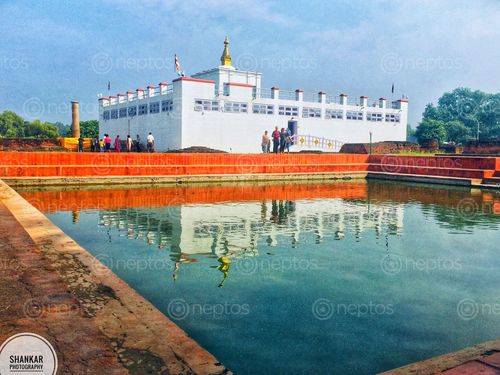 Find  the Image lumbini,maya,devi,temple  and other Royalty Free Stock Images of Nepal in the Neptos collection.