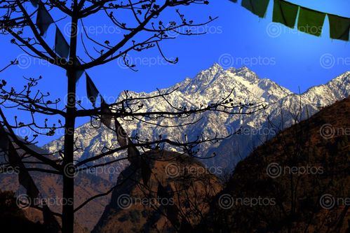 Find  the Image view,mount,manaslu,lamjung  and other Royalty Free Stock Images of Nepal in the Neptos collection.