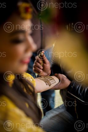 Find  the Image mehendi,ceremonymehendi,put,hands,feet,bride,beautiful,intricate,designs,expert  and other Royalty Free Stock Images of Nepal in the Neptos collection.