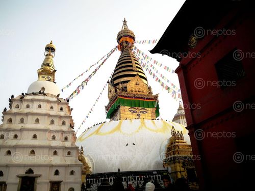 Find  the Image swayambhunath,shoot  and other Royalty Free Stock Images of Nepal in the Neptos collection.