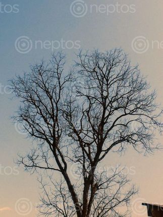 Find  the Image randomly,sitting,sun,winter  and other Royalty Free Stock Images of Nepal in the Neptos collection.