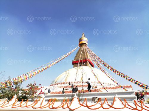 Find  the Image bouddha,stupa,world,heritage,famous,buddhist  and other Royalty Free Stock Images of Nepal in the Neptos collection.