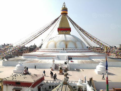 Find  the Image bouddha,stupa,famous,buddhist  and other Royalty Free Stock Images of Nepal in the Neptos collection.