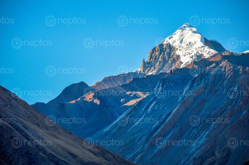 Find  the Image thorang,mountain,manang,nepal  and other Royalty Free Stock Images of Nepal in the Neptos collection.