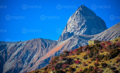 Find  the Image huge,rock,peak,manang,nepal  and other Royalty Free Stock Images of Nepal in the Neptos collection.