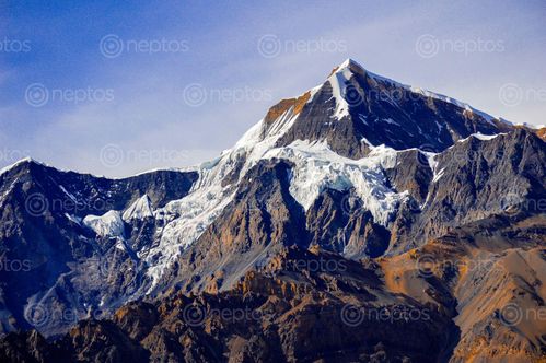 Find  the Image beautiful,white,yellow,peak,manang,nepal  and other Royalty Free Stock Images of Nepal in the Neptos collection.