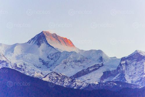 Find  the Image early,morning,view,annapurna,himal,pokhara,nepal  and other Royalty Free Stock Images of Nepal in the Neptos collection.