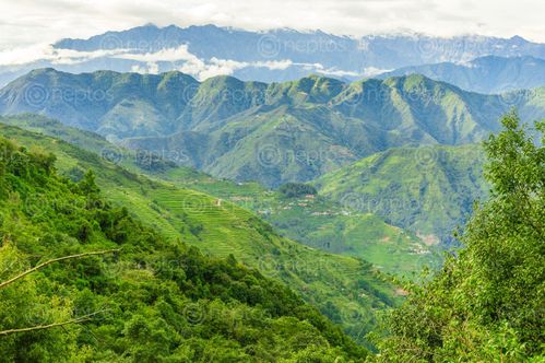 Find  the Image green,clean,view,haibung,village,chisapani,sindhupalchowk,nepal  and other Royalty Free Stock Images of Nepal in the Neptos collection.