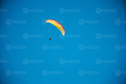 Find  the Image man,flying,sky,paragliding,pokhara,nepal  and other Royalty Free Stock Images of Nepal in the Neptos collection.