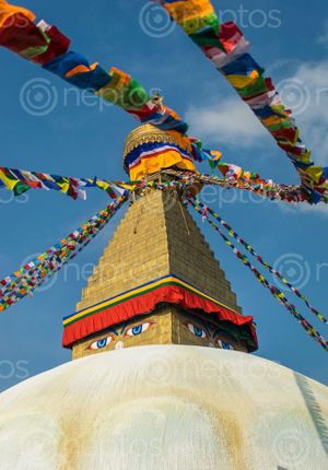 Find  the Image prayers,flag,flutter,windy,day,boudhanath  and other Royalty Free Stock Images of Nepal in the Neptos collection.