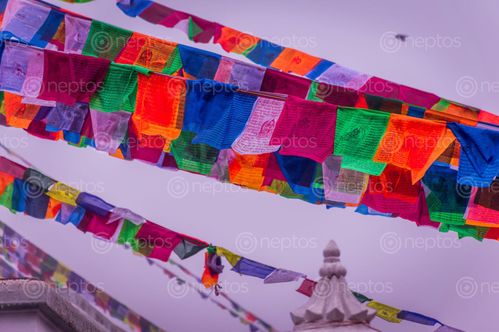 Find  the Image colorful,buddha,flags,hanging,air  and other Royalty Free Stock Images of Nepal in the Neptos collection.