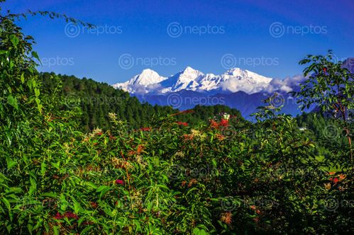 Find  the Image landscape,colorful,nature,mountain  and other Royalty Free Stock Images of Nepal in the Neptos collection.