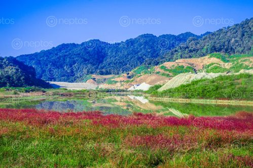 Find  the Image landscape,nature,color,lake,forest,nepal  and other Royalty Free Stock Images of Nepal in the Neptos collection.