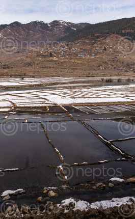 Find  the Image waterlogged,fields,jumla,snowfall,season,melting,snow,acts,source,water,crop,cycle,year  and other Royalty Free Stock Images of Nepal in the Neptos collection.