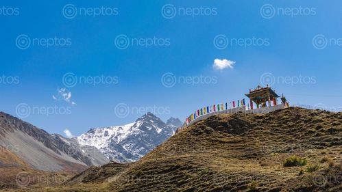 Find  the Image statue,muktinath  and other Royalty Free Stock Images of Nepal in the Neptos collection.
