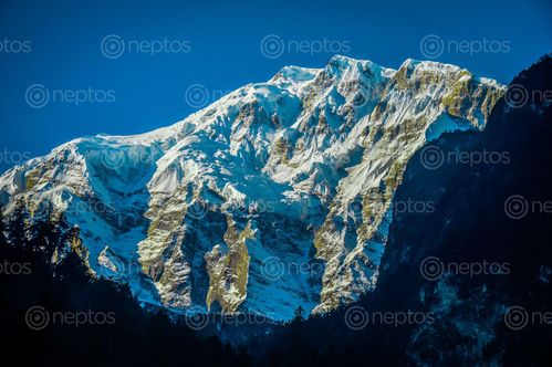 Find  the Image lamjung,himal,chame,manang,nepal  and other Royalty Free Stock Images of Nepal in the Neptos collection.