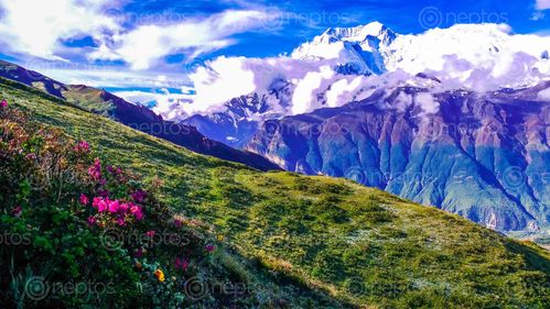 Find  the Image landscape,mountain,nature,manang,nepal  and other Royalty Free Stock Images of Nepal in the Neptos collection.