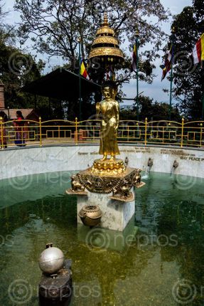 Find  the Image golden,statue,buddha,world,peace,pond,swayambhunath,kathmandu,nepal,coins,thrown,devotees,good,luck  and other Royalty Free Stock Images of Nepal in the Neptos collection.