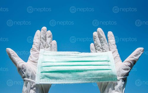 Find  the Image surgical,mask,gloves,safety,health,corona,virus,kathmandu,nepal  and other Royalty Free Stock Images of Nepal in the Neptos collection.