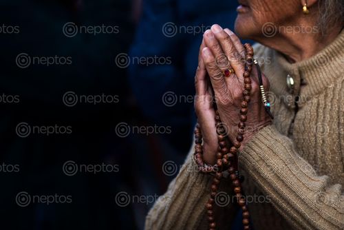 Find  the Image lady,making,namaste,gesture,show,devotion,god,hope,peace  and other Royalty Free Stock Images of Nepal in the Neptos collection.