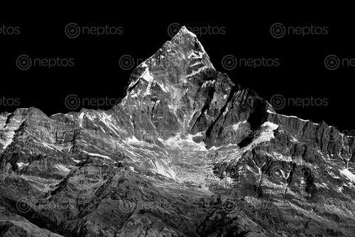 Find  the Image mount,fishtail,monochrome  and other Royalty Free Stock Images of Nepal in the Neptos collection.