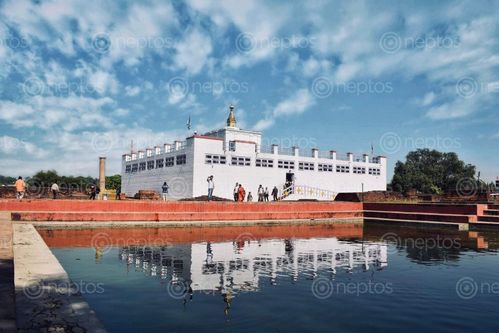 Find  the Image birth,place,lord,buddha,maya,devi,temple,lumbini  and other Royalty Free Stock Images of Nepal in the Neptos collection.