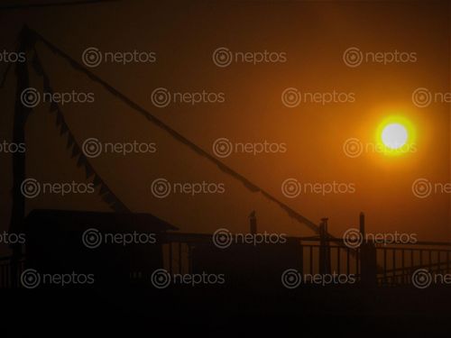 Find  the Image beautiful,sunset,captured,bharatpur  and other Royalty Free Stock Images of Nepal in the Neptos collection.