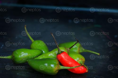Find  the Image chili,#food,sms,photography  and other Royalty Free Stock Images of Nepal in the Neptos collection.