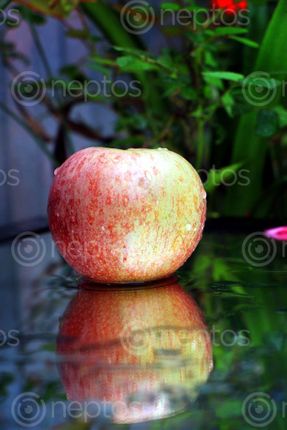 Find  the Image apple,reflection#,sms,photography  and other Royalty Free Stock Images of Nepal in the Neptos collection.