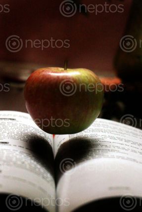 Find  the Image apple,refletion,heart#,sms,photography  and other Royalty Free Stock Images of Nepal in the Neptos collection.