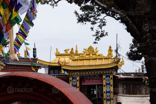 Find  the Image wochen,thukje,choeling,monastery,located,swayambhunath,kathmandu,nepal  and other Royalty Free Stock Images of Nepal in the Neptos collection.