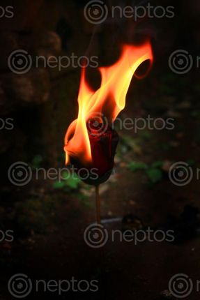 Find  the Image burning,red,plastic,rose,sms,photography  and other Royalty Free Stock Images of Nepal in the Neptos collection.