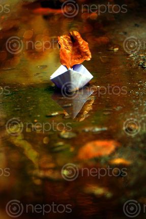 Find  the Image paper,boat,reflection,sms,photography  and other Royalty Free Stock Images of Nepal in the Neptos collection.