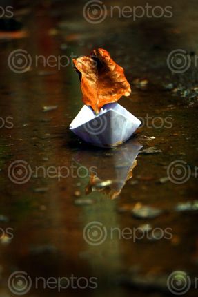 Find  the Image paper,boat,reflection,sms,photography  and other Royalty Free Stock Images of Nepal in the Neptos collection.