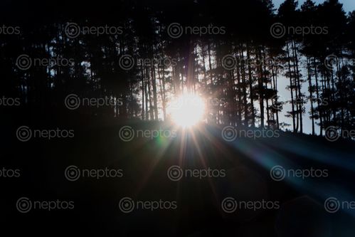 Find  the Image nature#,sunlight,sms,photography  and other Royalty Free Stock Images of Nepal in the Neptos collection.